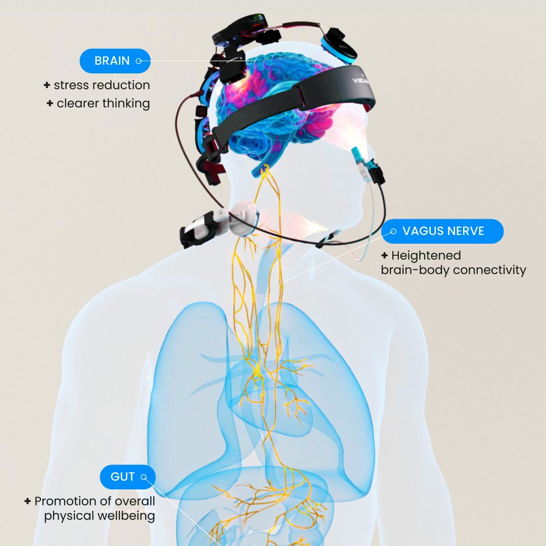 Brain Longevity neuro 4 vagus pbm system square